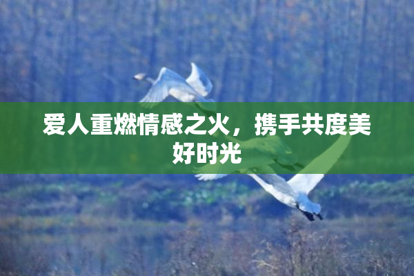 爱人重燃情感之火，携手共度美好时光