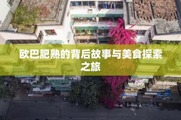 欧巴肥熟的背后故事与美食探索之旅