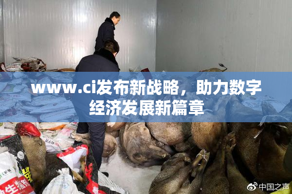 www.ci发布新战略，助力数字经济发展新篇章