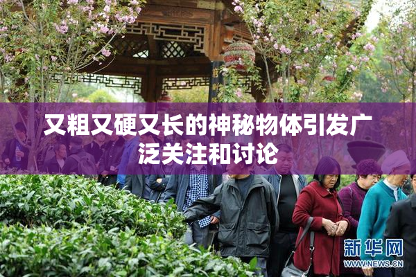 又粗又硬又长的神秘物体引发广泛关注和讨论