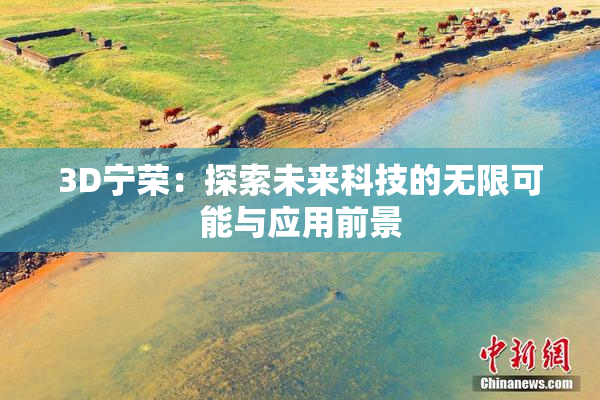 3D宁荣：探索未来科技的无限可能与应用前景