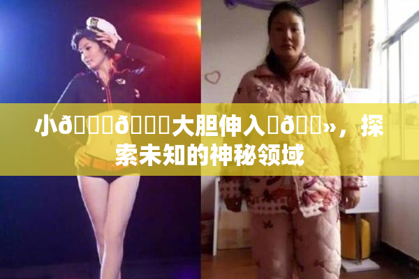 小🐔🐔大胆伸入‌🐻，探索未知的神秘领域