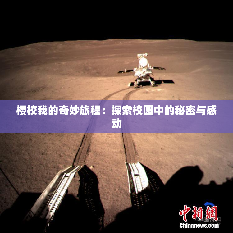 樱校我的奇妙旅程：探索校园中的秘密与感动