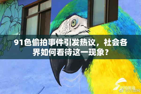 91色偷拍事件引发热议，社会各界如何看待这一现象？
