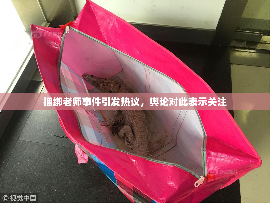 捆绑老师事件引发热议，舆论对此表示关注