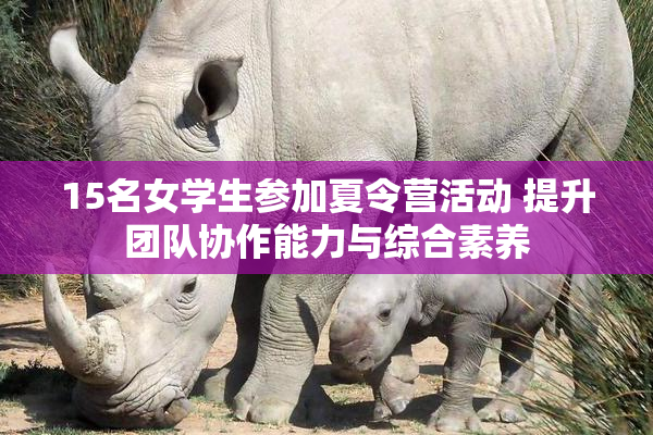 15名女学生参加夏令营活动 提升团队协作能力与综合素养