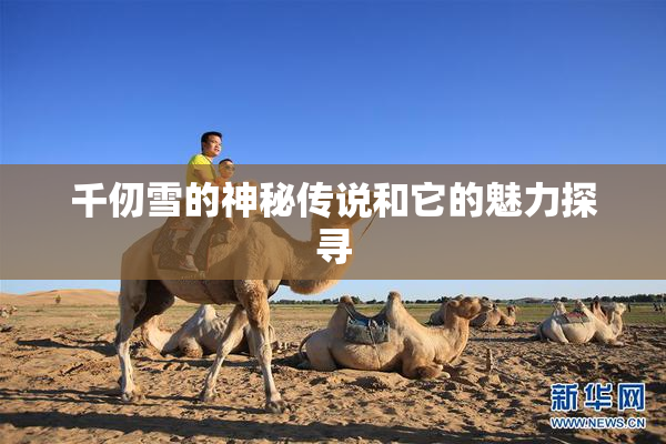 千仞雪的神秘传说和它的魅力探寻