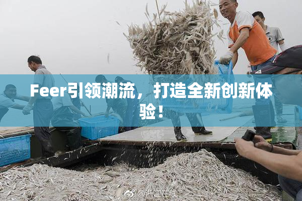 Feer引领潮流，打造全新创新体验！