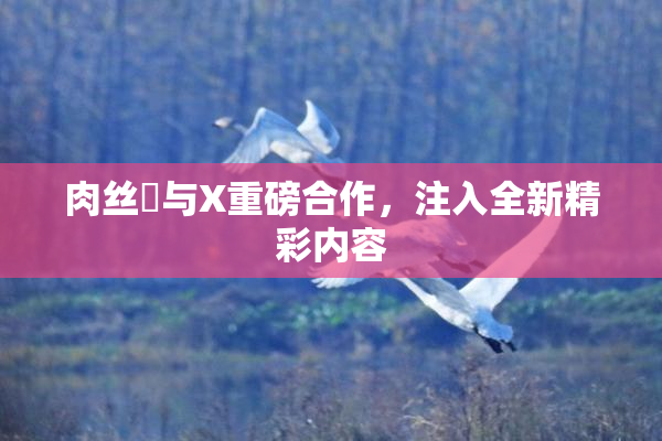 肉丝祙与X重磅合作，注入全新精彩内容