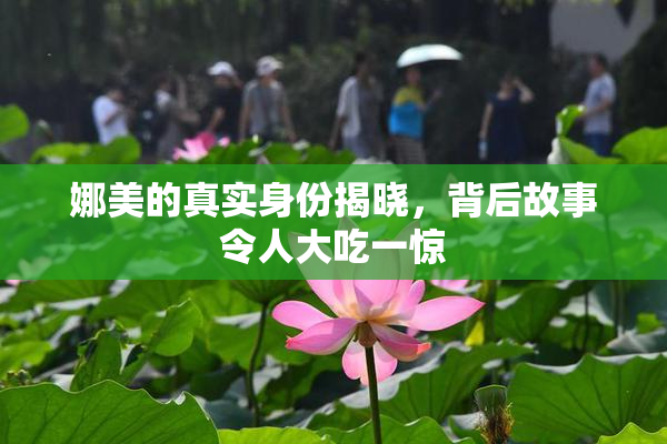 娜美的真实身份揭晓，背后故事令人大吃一惊