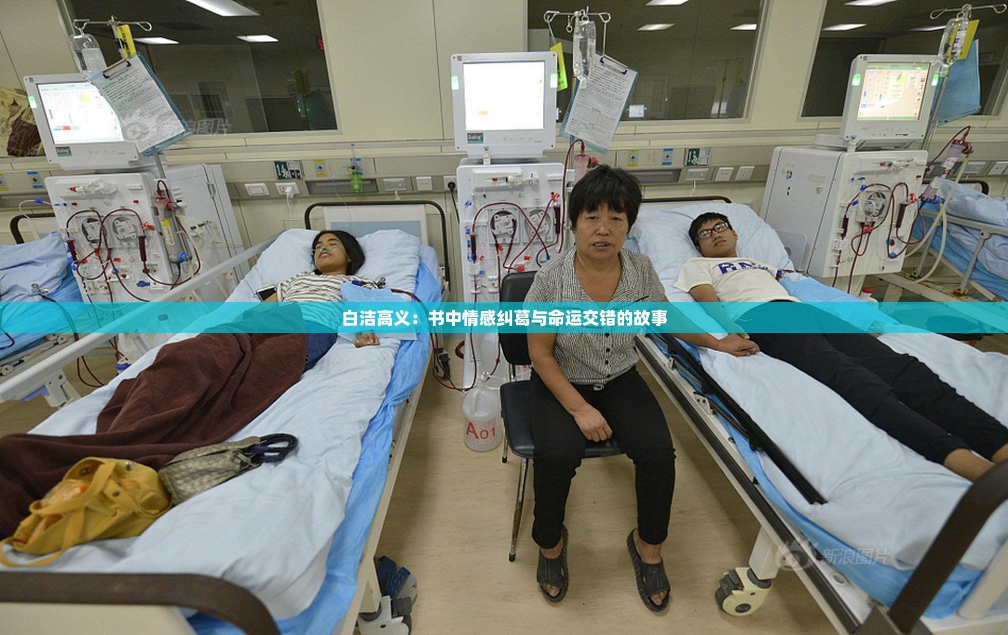 白洁高义：书中情感纠葛与命运交错的故事