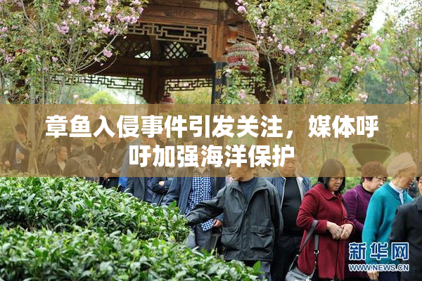 章鱼入侵事件引发关注，媒体呼吁加强海洋保护