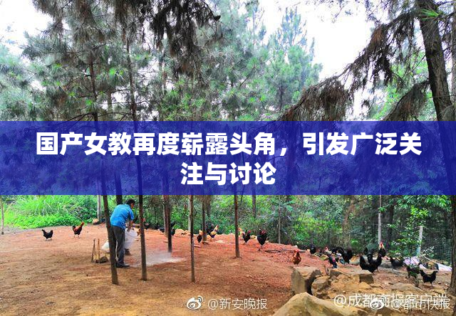 国产女教再度崭露头角，引发广泛关注与讨论