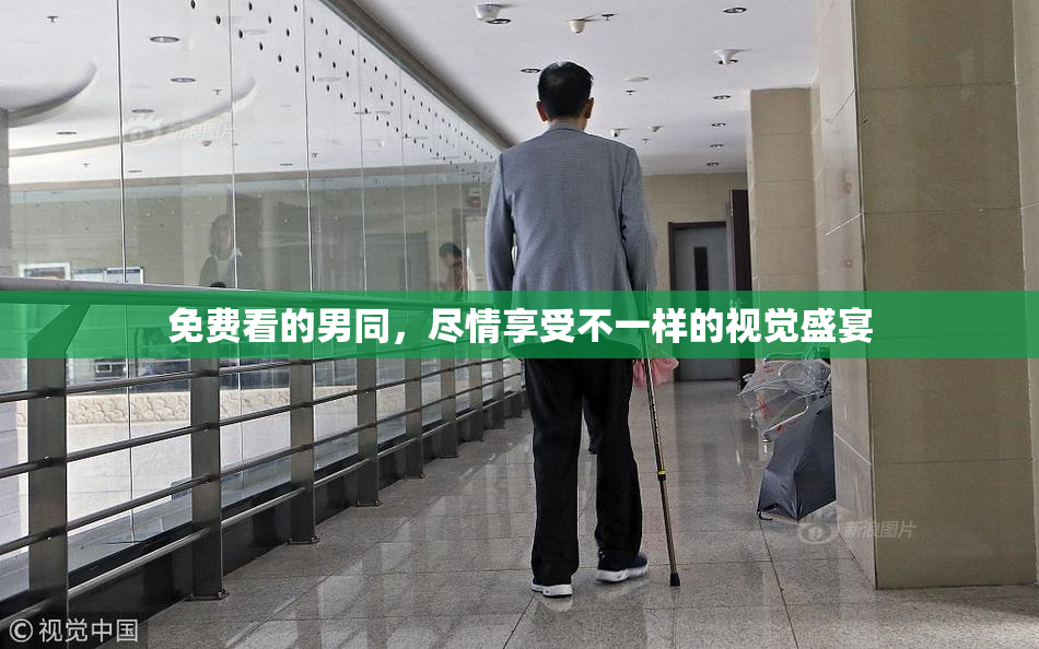 免费看的男同，尽情享受不一样的视觉盛宴