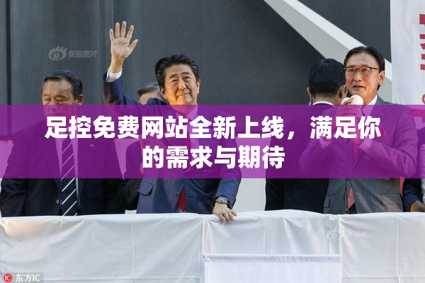 足控免费网站全新上线，满足你的需求与期待