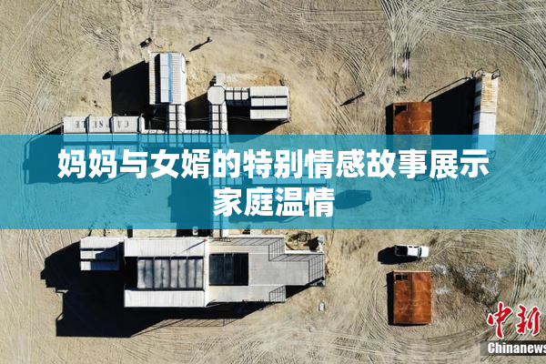 妈妈与女婿的特别情感故事展示家庭温情