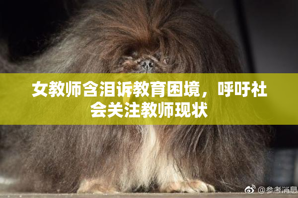 女教师含泪诉教育困境，呼吁社会关注教师现状