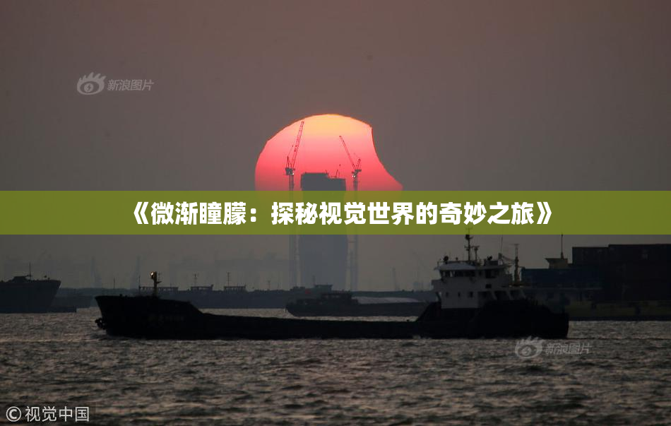 《微渐瞳朦：探秘视觉世界的奇妙之旅》