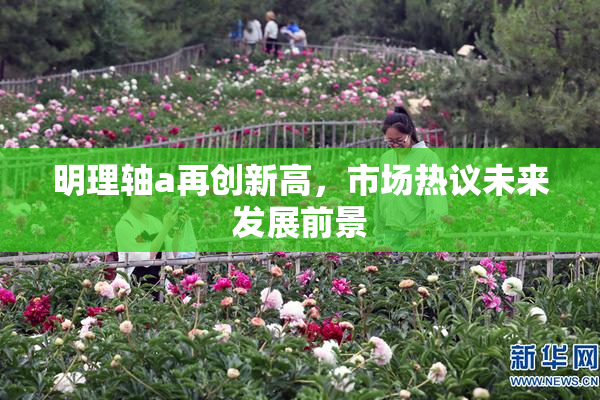 明理轴a再创新高，市场热议未来发展前景