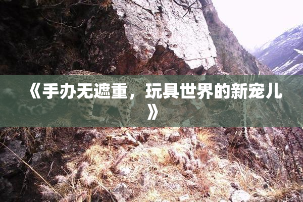 《手办无遮重，玩具世界的新宠儿》
