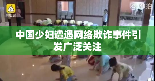 中国少妇遭遇网络欺诈事件引发广泛关注