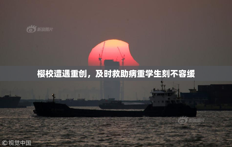 樱校遭遇重创，及时救助病重学生刻不容缓
