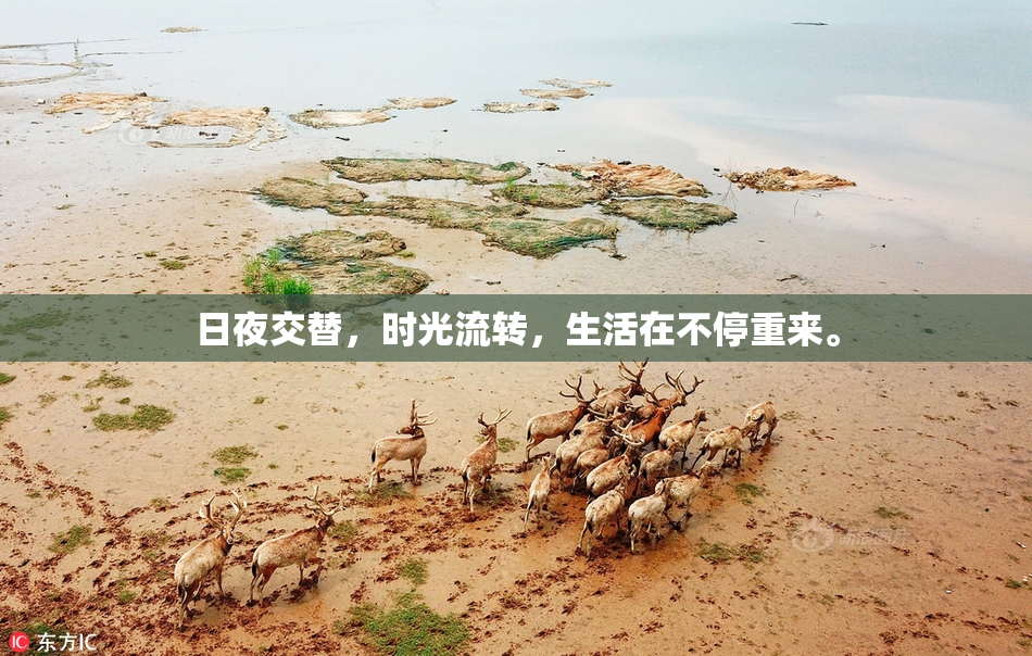 日夜交替，时光流转，生活在不停重来。