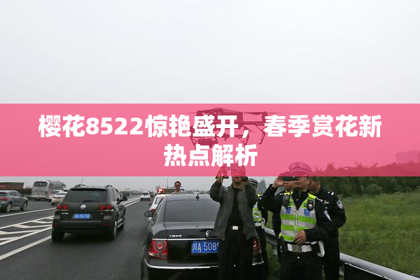 樱花8522惊艳盛开，春季赏花新热点解析