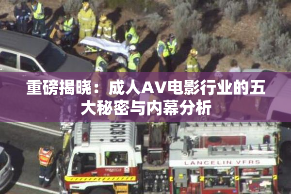 重磅揭晓：成人AV电影行业的五大秘密与内幕分析