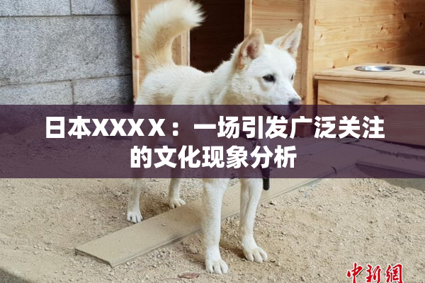 日本XXXⅩ：一场引发广泛关注的文化现象分析