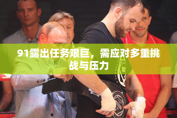 91露出任务艰巨，需应对多重挑战与压力