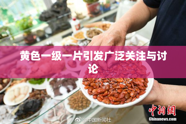 黄色一级一片引发广泛关注与讨论