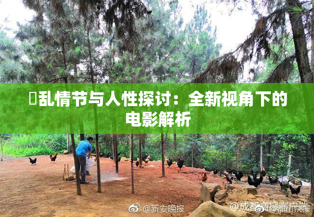 婬乱情节与人性探讨：全新视角下的电影解析