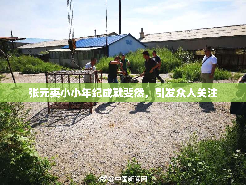 张元英小小年纪成就斐然，引发众人关注