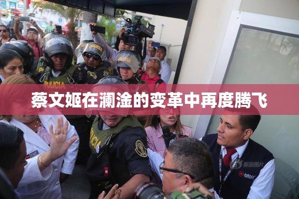 蔡文姬在澜淦的变革中再度腾飞