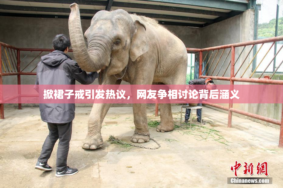 掀裙子戒引发热议，网友争相讨论背后涵义