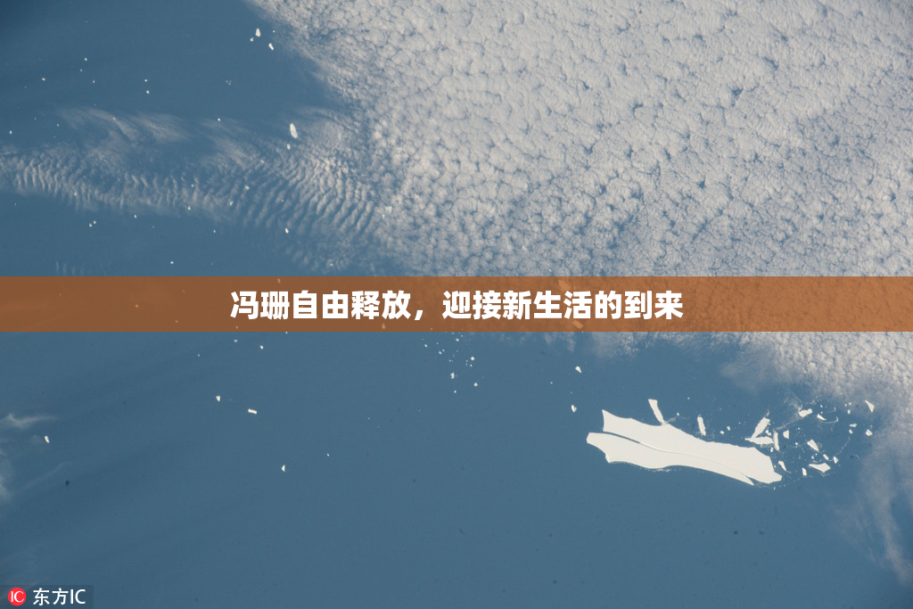 冯珊自由释放，迎接新生活的到来
