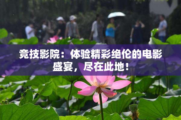 竞技影院：体验精彩绝伦的电影盛宴，尽在此地！