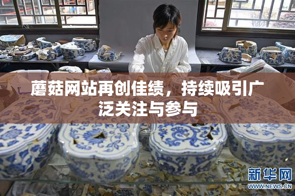 蘑菇网站再创佳绩，持续吸引广泛关注与参与