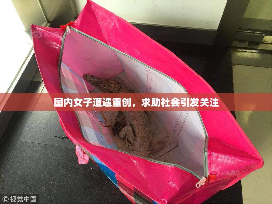 国内女子遭遇重创，求助社会引发关注
