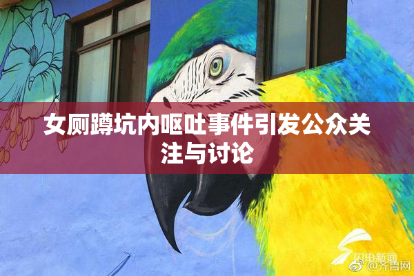 女厕蹲坑内呕吐事件引发公众关注与讨论