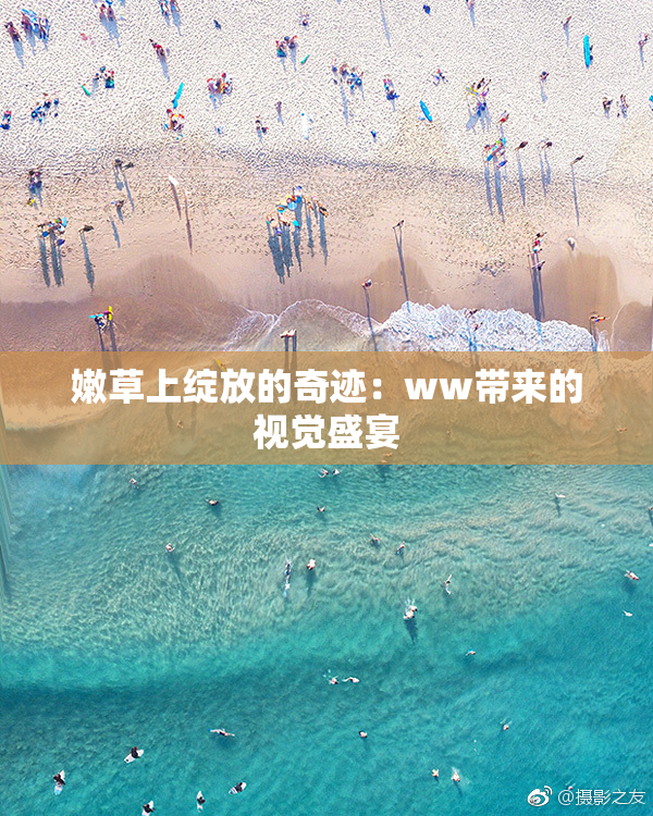 嫩草上绽放的奇迹：ww带来的视觉盛宴