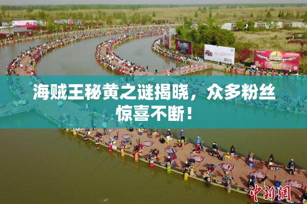 海贼王秘黄之谜揭晓，众多粉丝惊喜不断！
