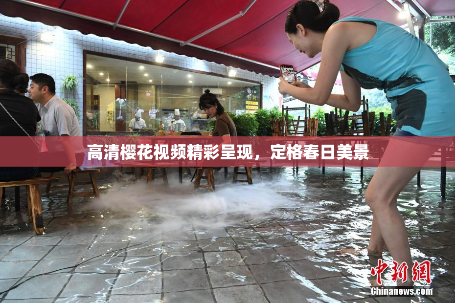 高清樱花视频精彩呈现，定格春日美景