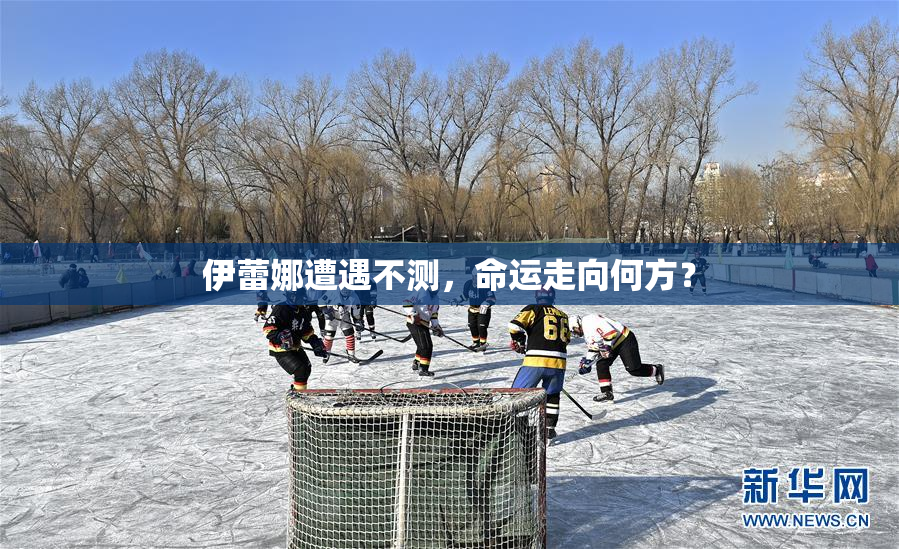 伊蕾娜遭遇不测，命运走向何方？