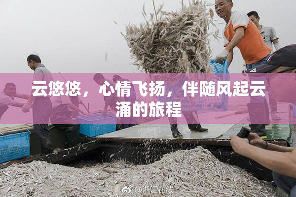 云悠悠，心情飞扬，伴随风起云涌的旅程