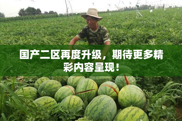 国产二区再度升级，期待更多精彩内容呈现！