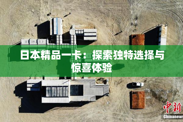 日本精品一卡：探索独特选择与惊喜体验
