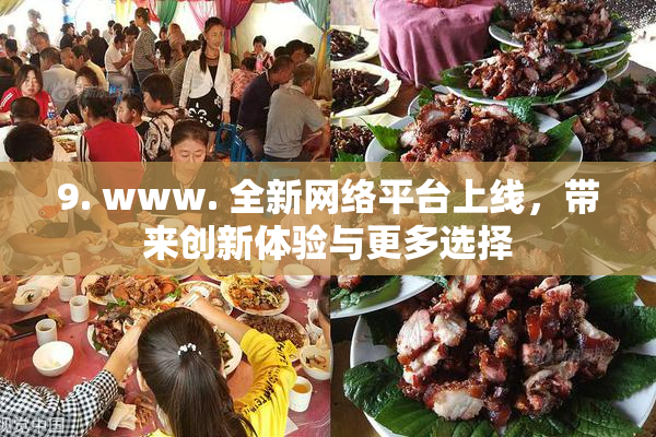 9. www. 全新网络平台上线，带来创新体验与更多选择