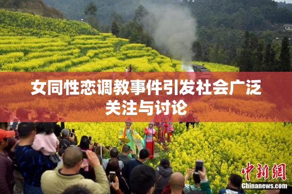 女同性恋调教事件引发社会广泛关注与讨论